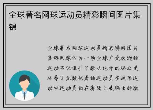 全球著名网球运动员精彩瞬间图片集锦